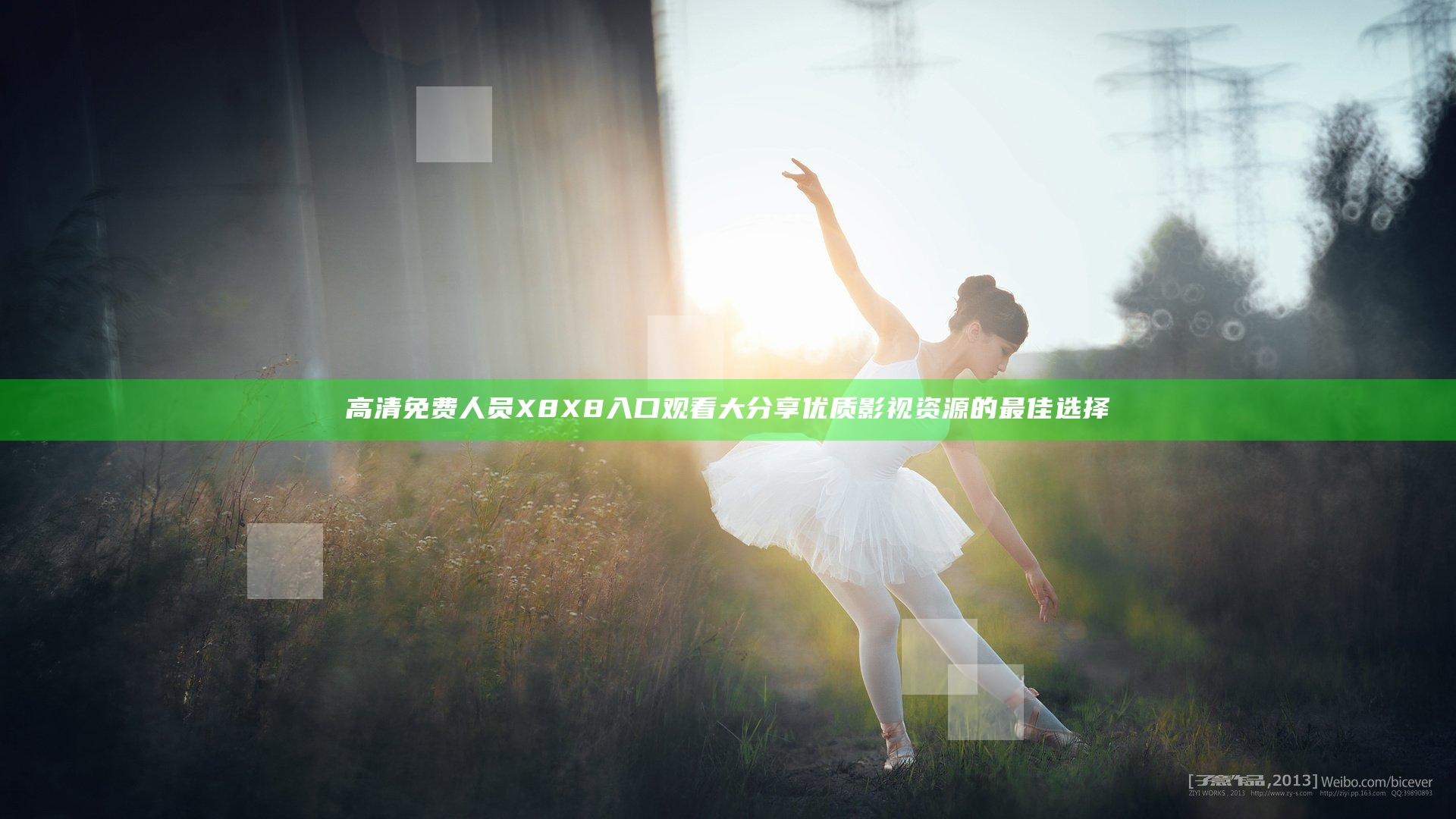 高清免费人员X8X8入口观看大分享优质影视资源的最佳选择