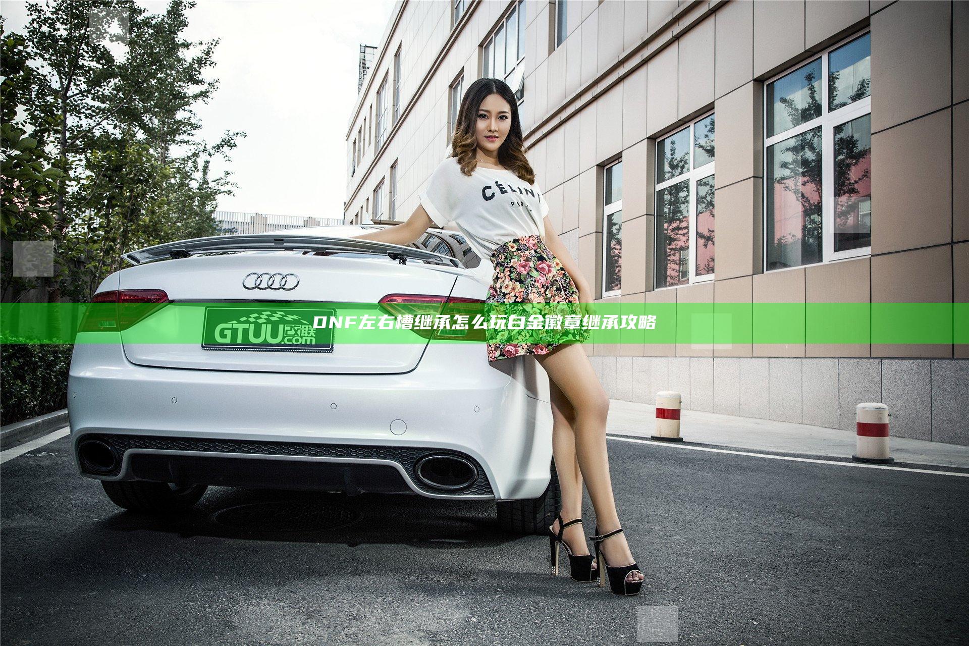 DNF左右槽继承怎么玩 白金徽章继承攻略