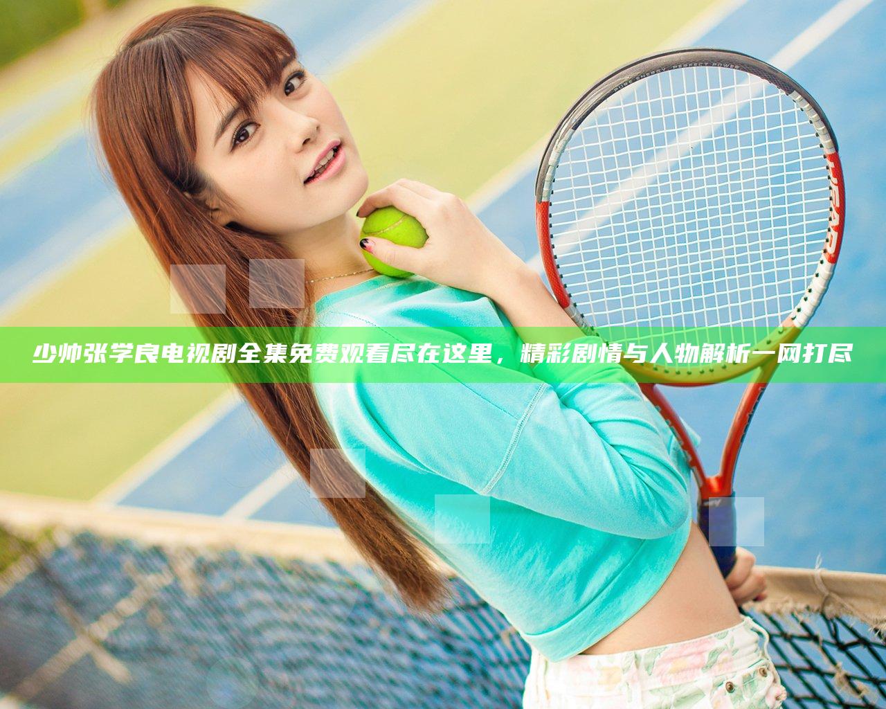 少帅张学良电视剧全集免费观看尽在这里，精彩剧情与人物解析一网打尽