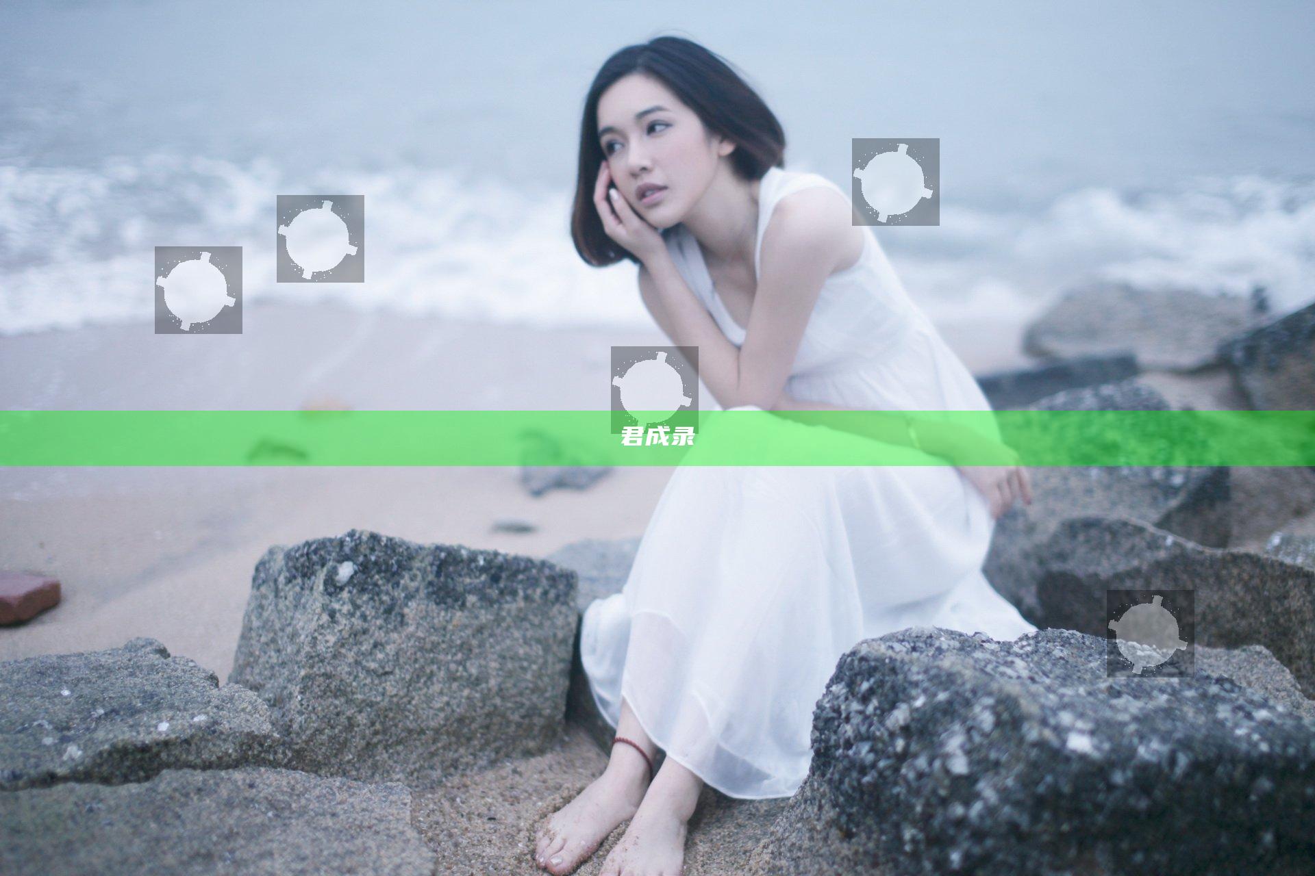 君成录